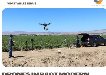 Drones impact modern sustainable ag