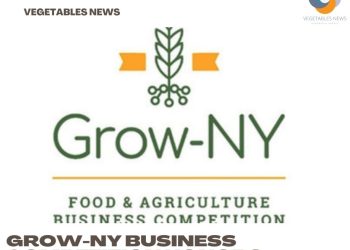 Grow-NY business competition honors RealEats, Dropcopter, others