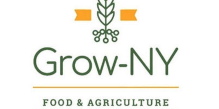 Grow-NY business competition honors RealEats, Dropcopter, others