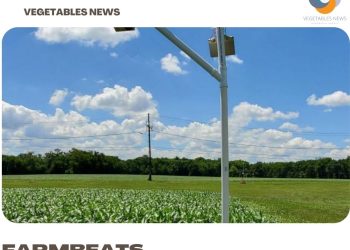 FarmBeats: Ag at the speed of IT