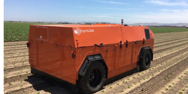 FarmWise unveils autonomous vegetable weeder
