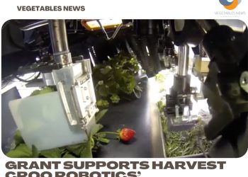 Grant supports Harvest CROO Robotics’ strawberry picker