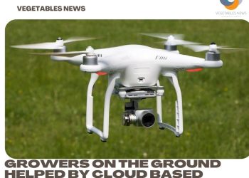 Growers on the ground helped by cloud based software