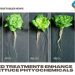LED treatments enhance lettuce phtyochemicals