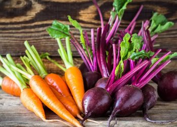 Planting carrots and beets in the Trans-Baikal farms is ahead of schedule