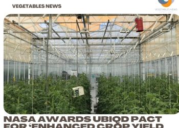 NASA awards UbiQD pact for ‘Enhanced Crop Yield for Space Missions’