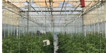 NASA awards UbiQD pact for ‘Enhanced Crop Yield for Space Missions’