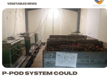 P-Pod system could advance storage monitoring of potatoes