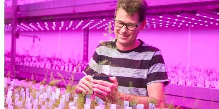 Bejo Zaden, Signify utilize Philips Green Power LED lighting