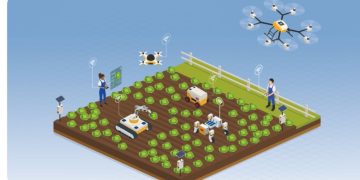 Planting to harvest, advancements to dot vegetable farms