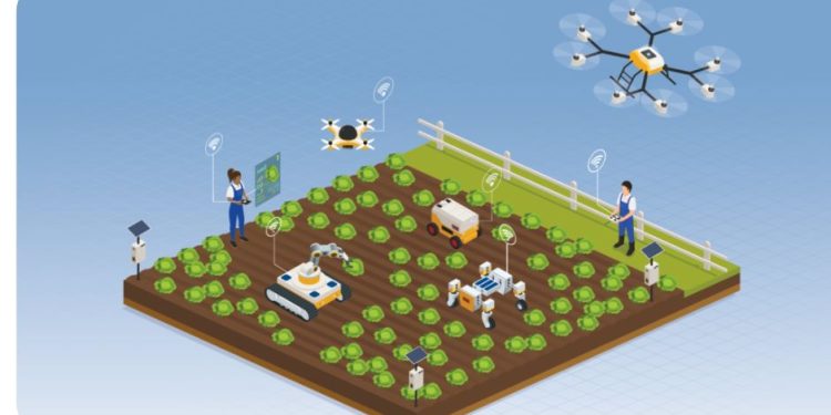 Planting to harvest, advancements to dot vegetable farms