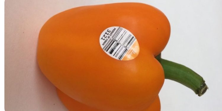 Pro Label introduces new PLU labeling machine