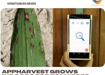 Purdue Ag-Celerator fund invests $200,000 in two startup companies