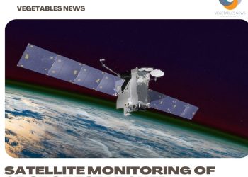 Satellite monitoring of crops researched