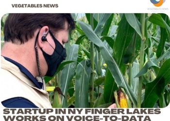 Startup in NY Finger Lakes works on voice-to-data app for growers