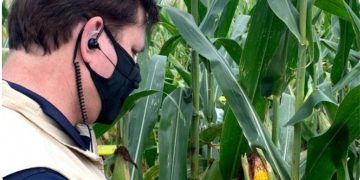 Startup in NY Finger Lakes works on voice-to-data app for growers