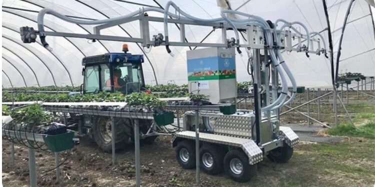 Strawberry growers welcome benefits of new biocontrols applicator
