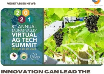California ag secretary Ross tells ag Summit: Innovation can lead the way