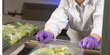 USDA studies keeping bagged leafy greens safe