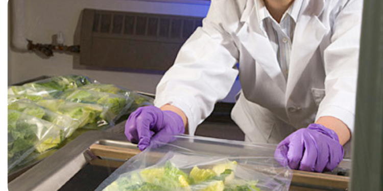 USDA studies keeping bagged leafy greens safe