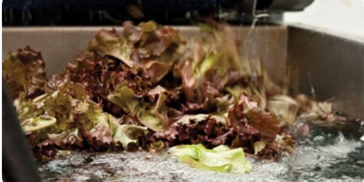 USDA value-added producer grants help seed new ventures