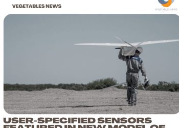 User-specified sensors featured in new model of DeLair UAV