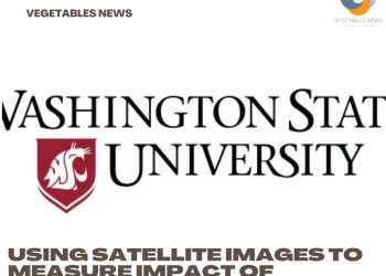 Using satellite images to measure impact of longer growing season