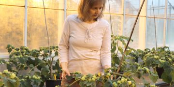 Bioscience beckons, offers new traits for growers, consumers