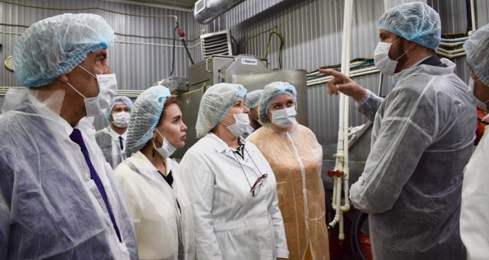 Donskoy supplier of cucumbers for chain fast food restaurants increases production volumes