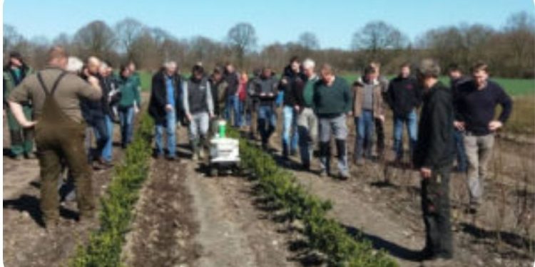 Naio Technologies expands agricultural robots to global market