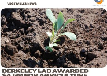 Berkeley Lab awarded $4.6M for agriculture technologies