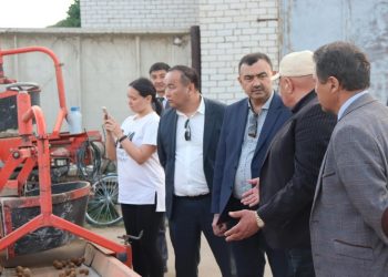 Semey intends to feed the population with its vegetables