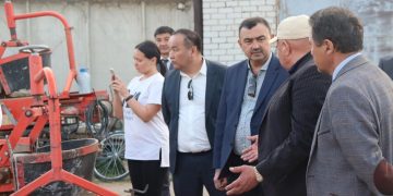 Semey intends to feed the population with its vegetables