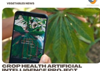 Crop health artificial intelligence project funded