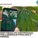 Crop health artificial intelligence project funded