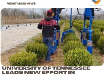 University of Tennessee leads new effort in nursery automation