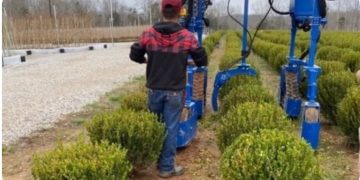 University of Tennessee leads new effort in nursery automation