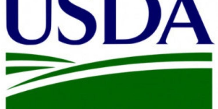 Loans available for handling equipment, portable storage