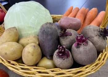 Tambov farmers have started planting vegetables