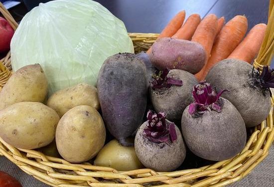 Tambov farmers have started planting vegetables