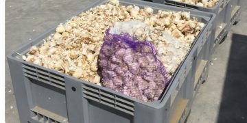 JMT US natural controlled atmosphere widens its range of use