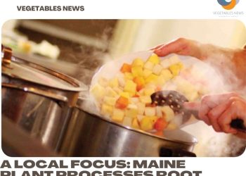 A Local Focus: Maine plant processes root crops for nearby customers
