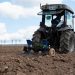 In the urban district of Solnechnogorsk, vegetable crops have been planted