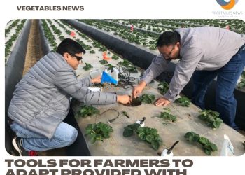 Tools for farmers to adapt provided with climate-change research