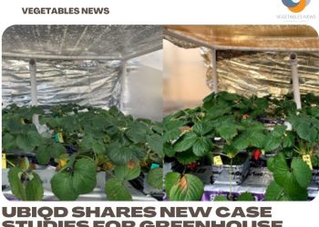 UbiQD shares new case studies for greenhouse light optimization