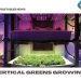 Vertical greens growing trend gets its own USDA grant
