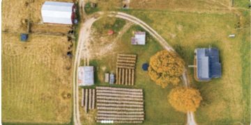 $650,000 to help breed green chile peppers for mechanical harvesting