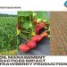 Soil management practices impact strawberry production