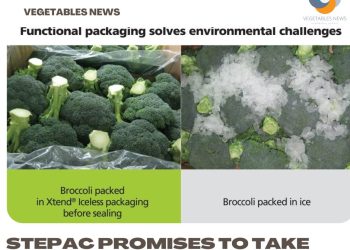 StePac promises to take broccoli packaging “out of the Ice Age”