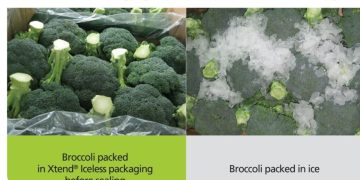 StePac promises to take broccoli packaging “out of the Ice Age”